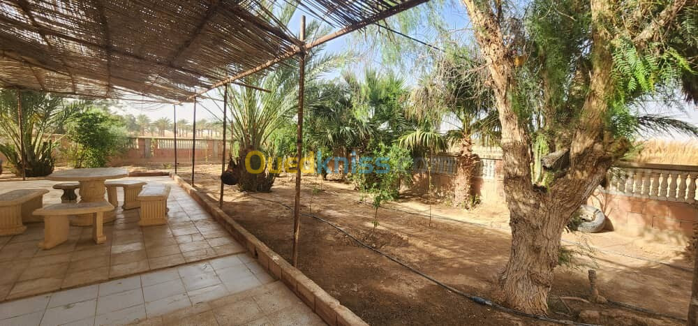 Vente Terrain Biskra Oumache