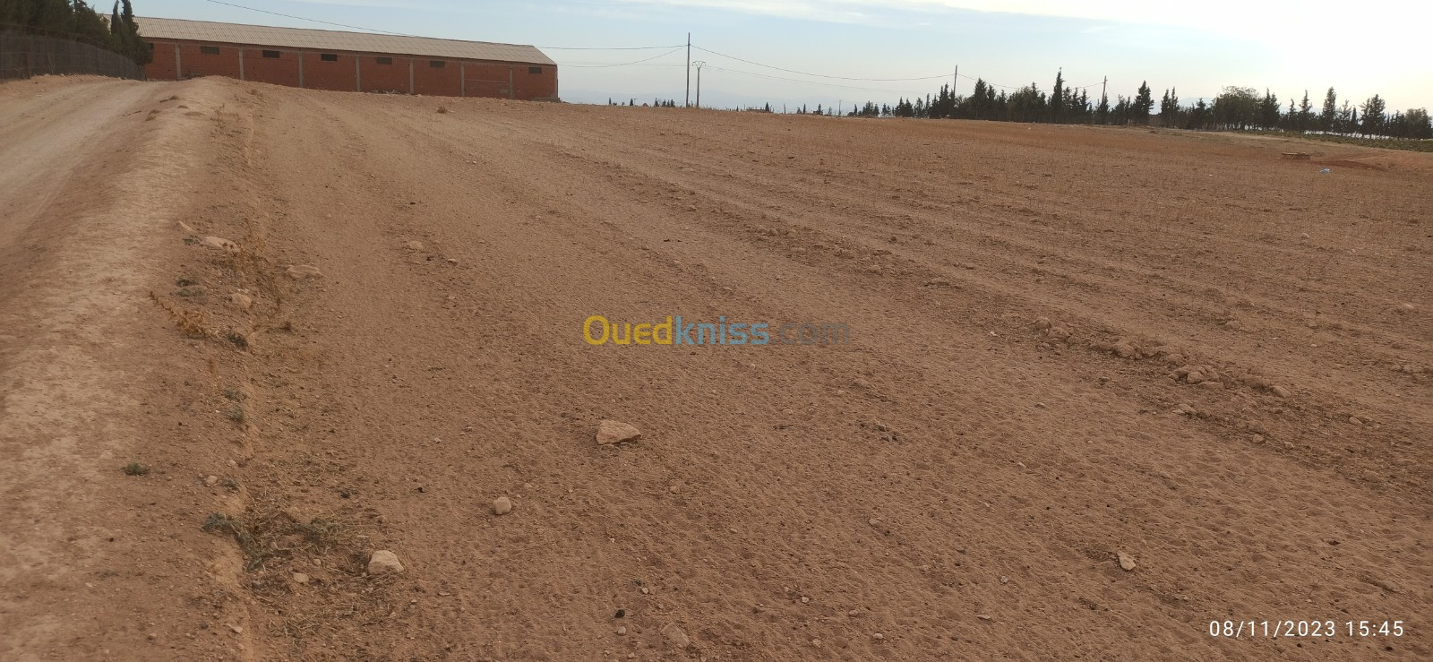 Vente Terrain Sétif Ain arnat