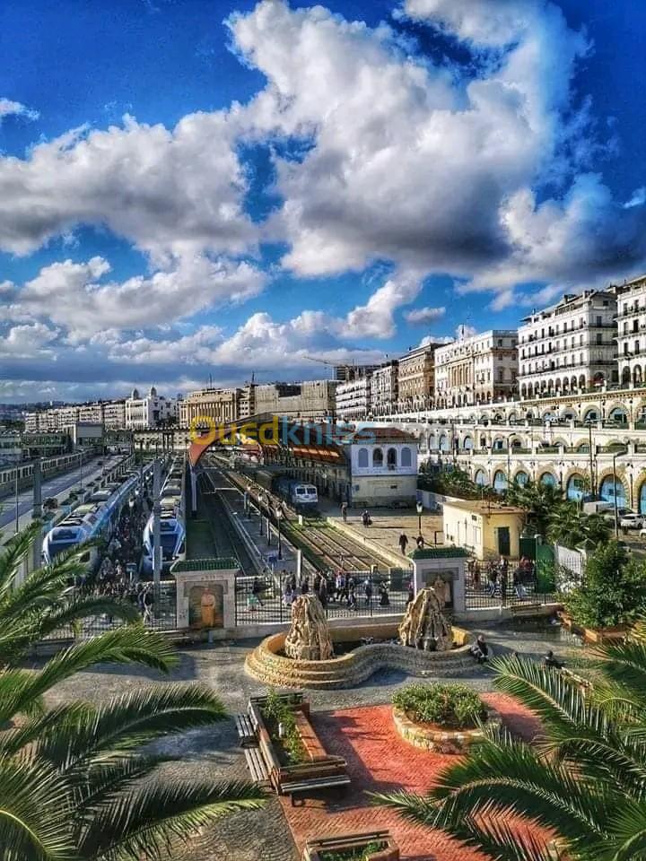 Vente Local Alger Belouizdad