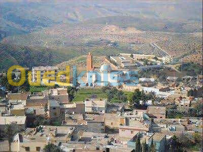 Vente Terrain Tlemcen Beni mester