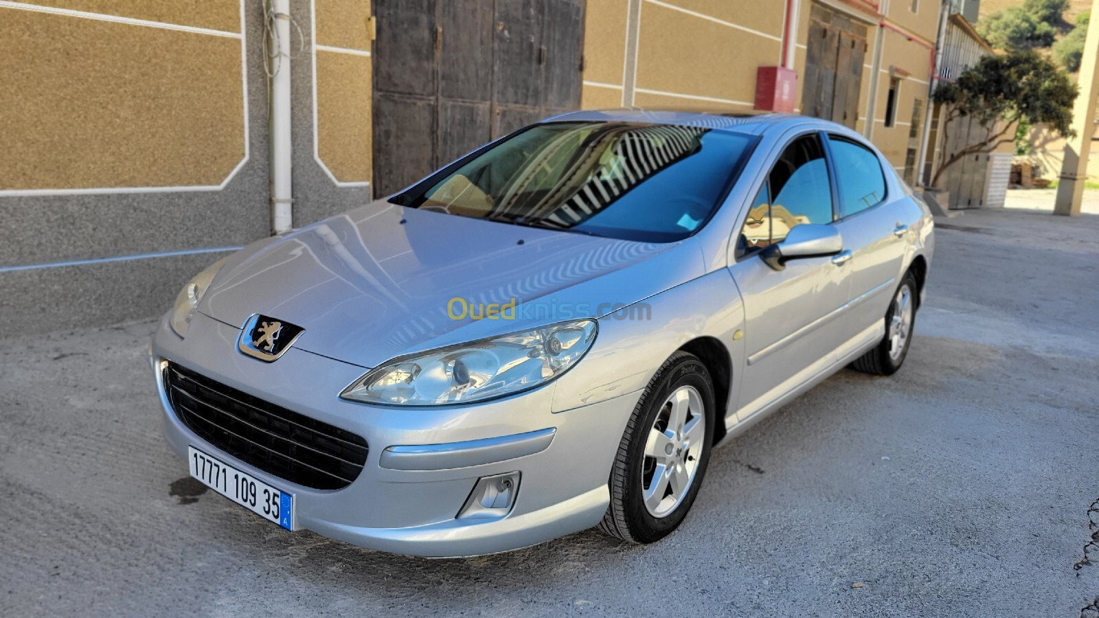 Peugeot 407 2009 Allure