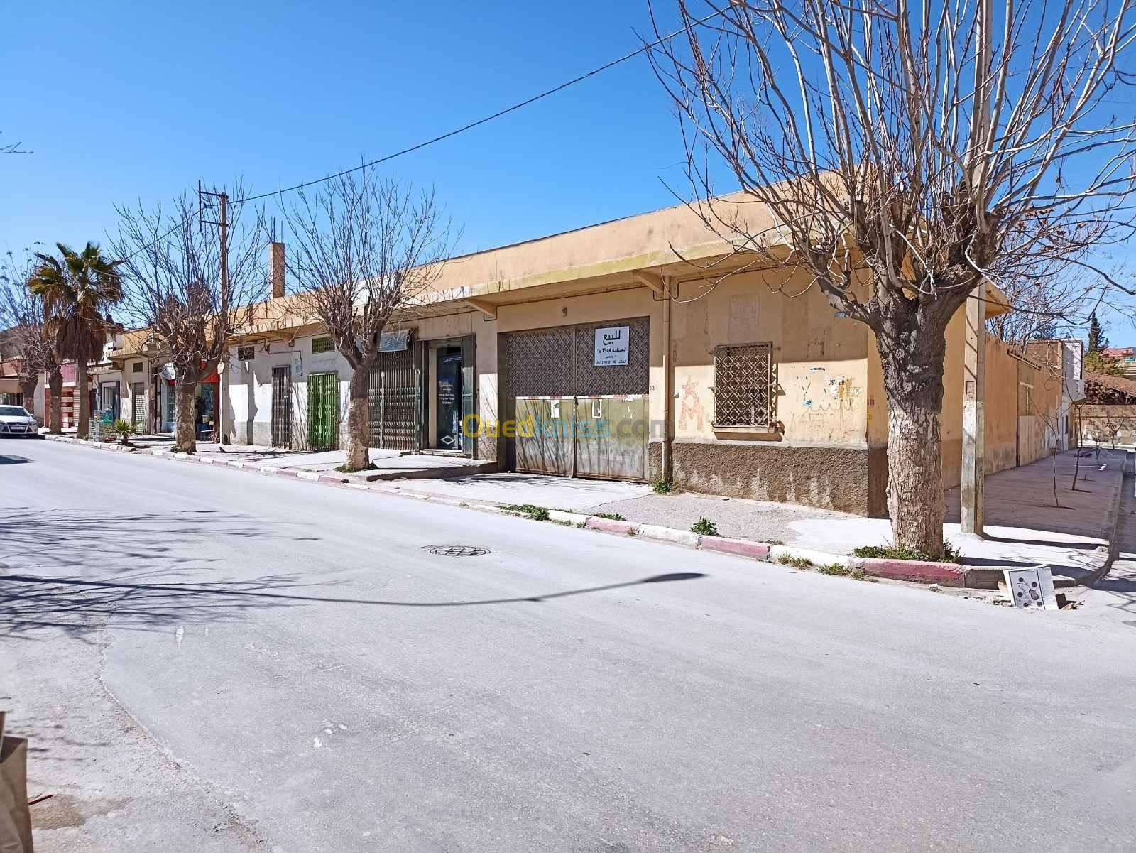 Vente Local Batna Batna