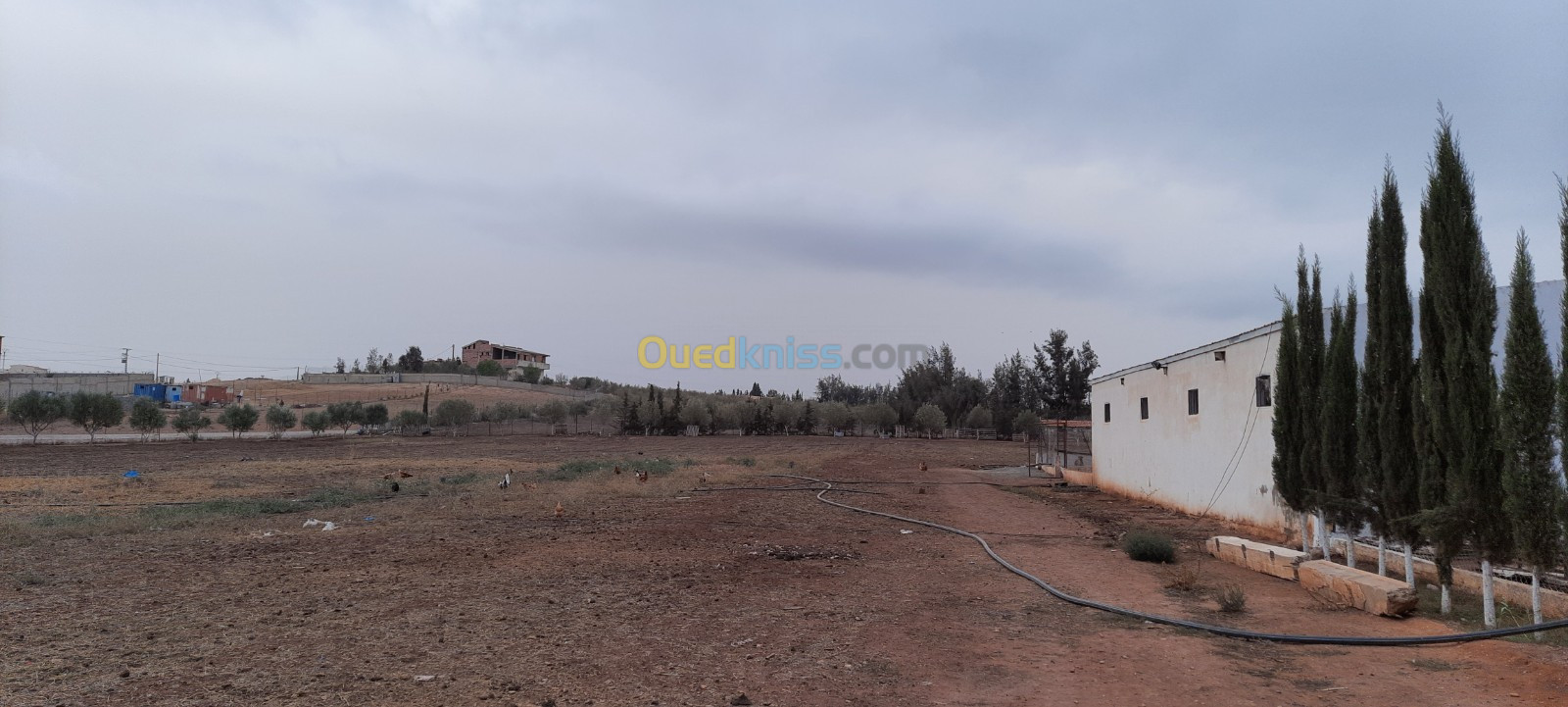 Vente bien immobilier Sidi bel abbes Amarnas