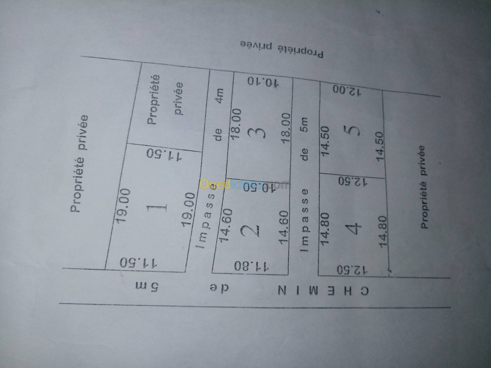 Vente Terrain Blida El affroun