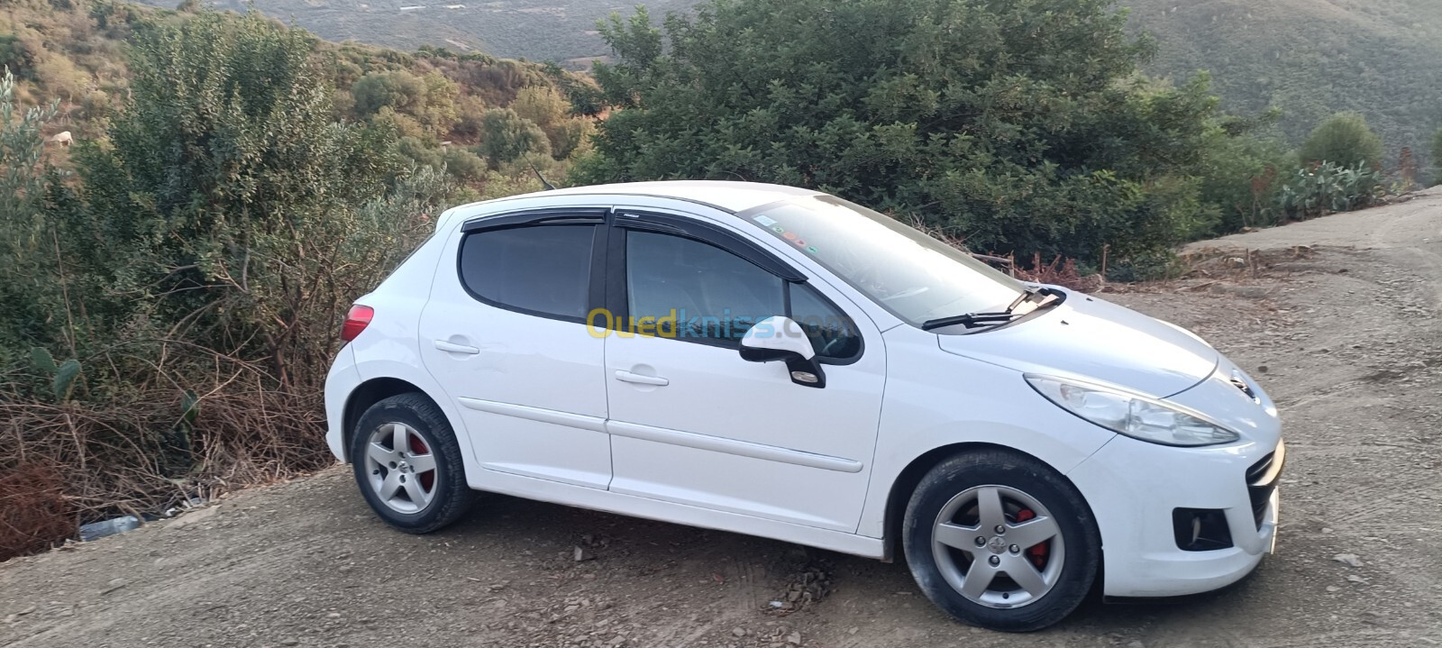 Peugeot 207 2012 New Active