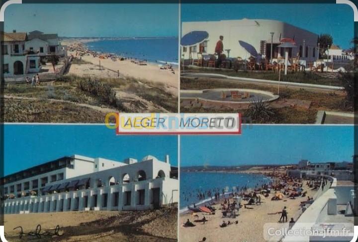 Vente Terrain Alger Staoueli