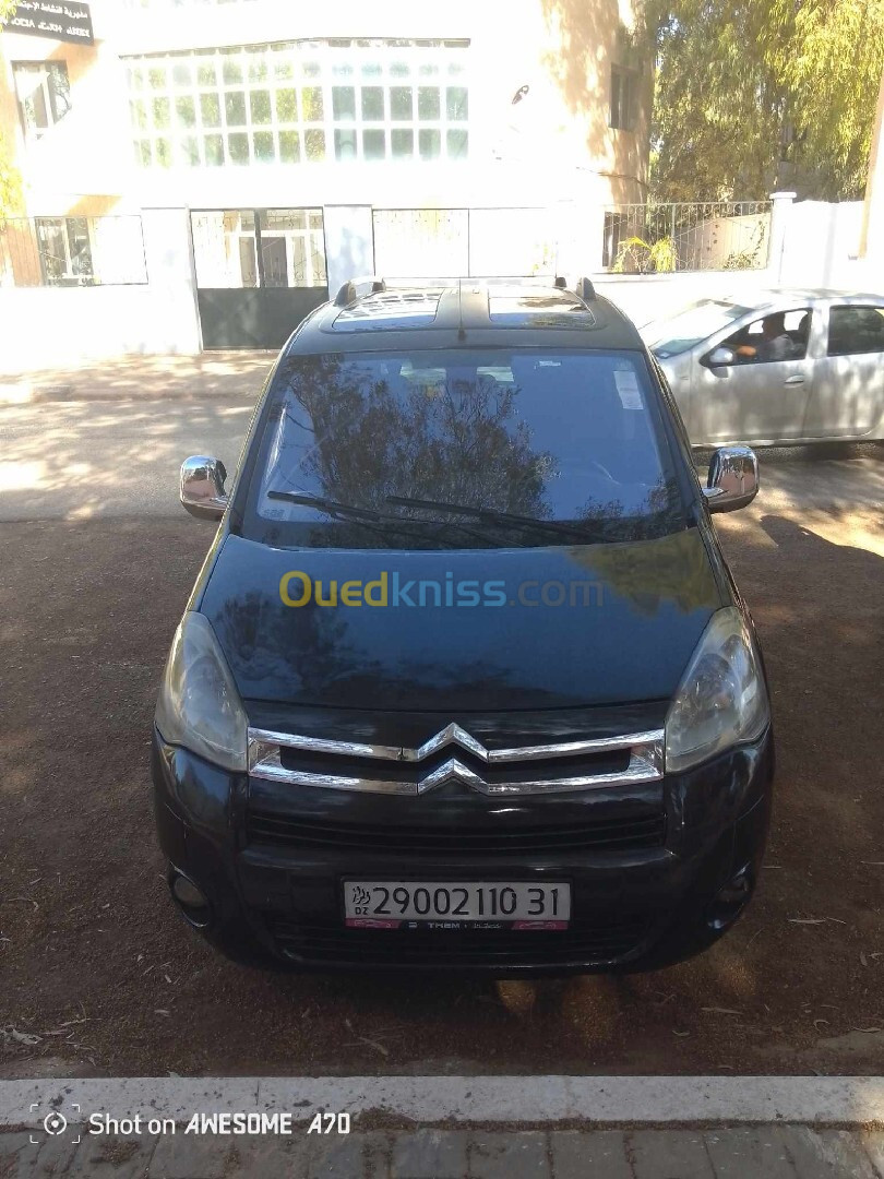 Citroen Berlingo 2010 Berlingo