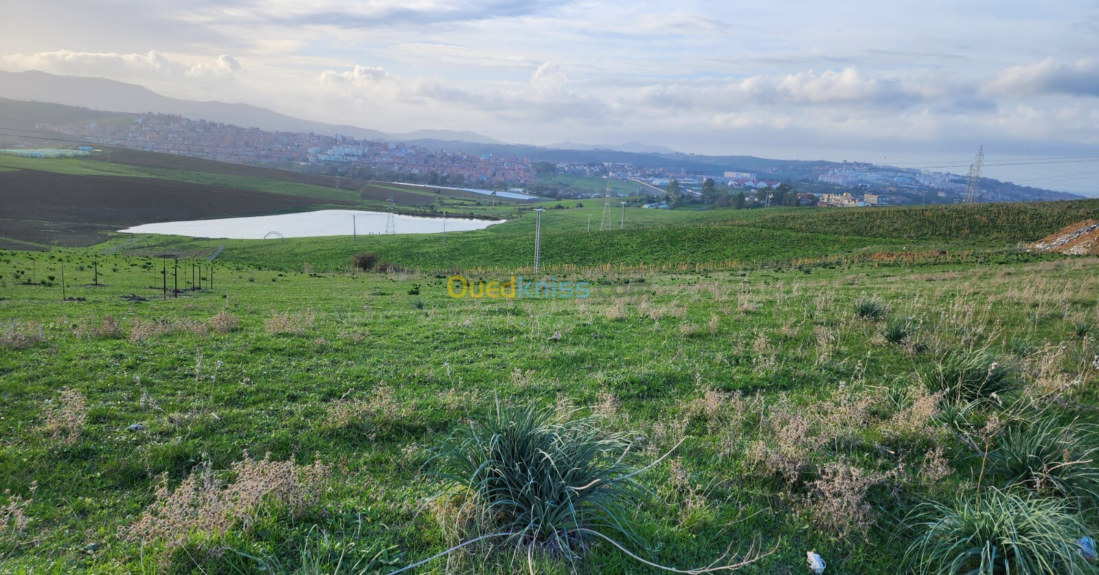 Vente Terrain Jijel Jijel