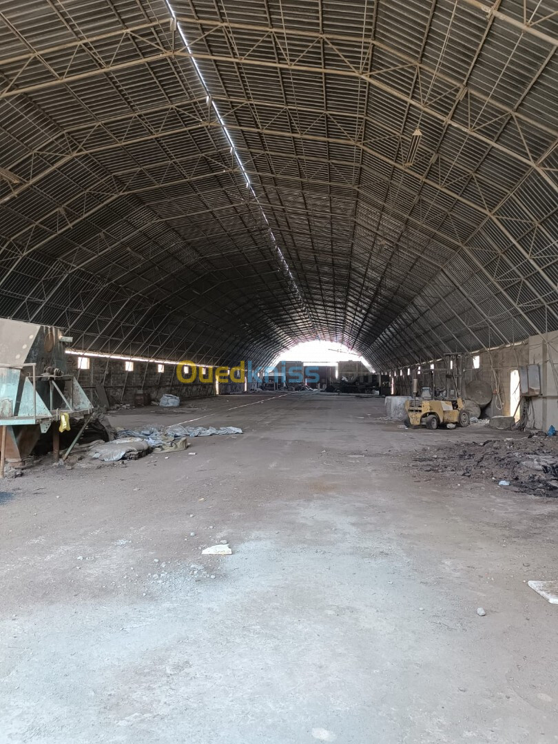 Location Hangar Annaba Barrahel