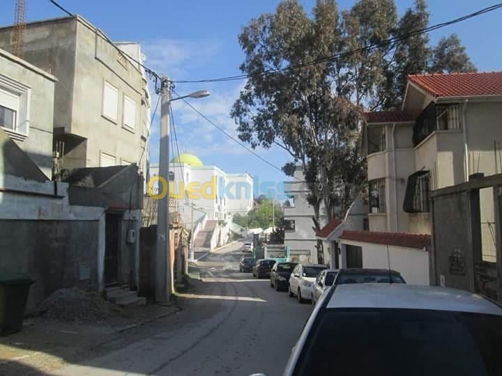 Vente Appartement F3 Annaba Annaba