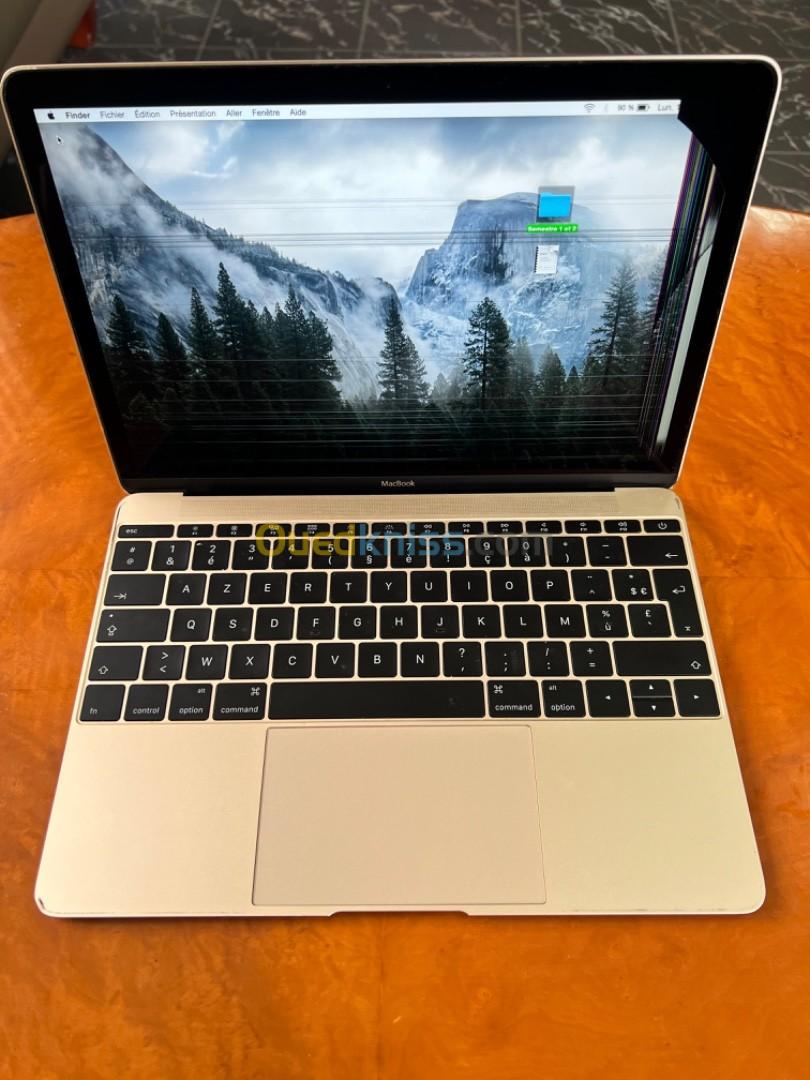 MacBook A1534 / 12 / 8G / 256gb 