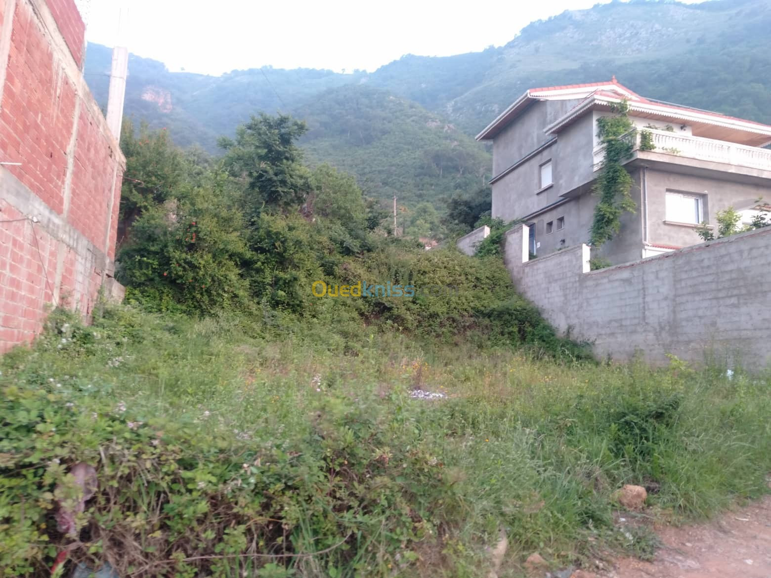 Vente Terrain Jijel Ziama mansouriah