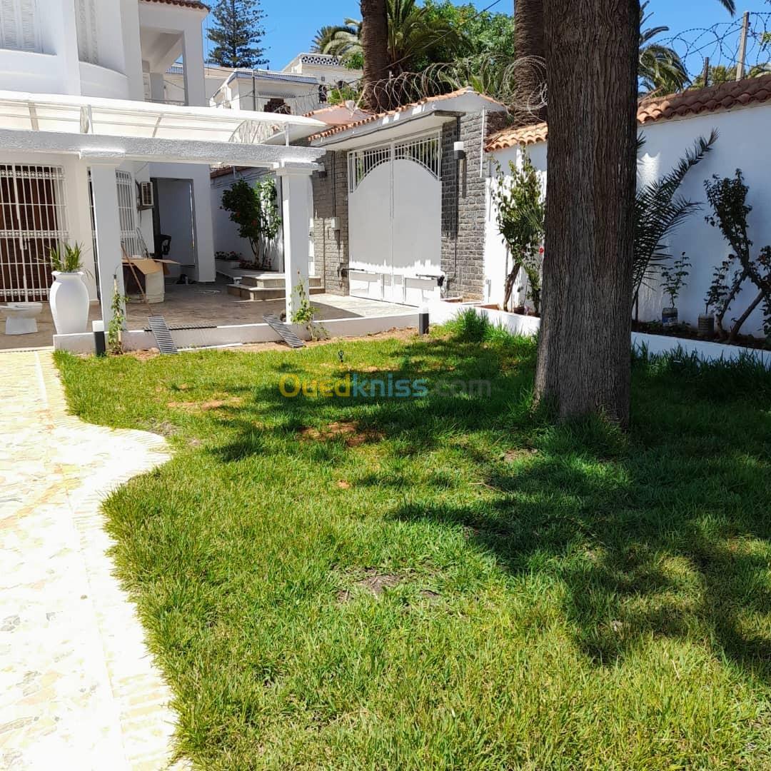 Location Villa Alger Ben aknoun