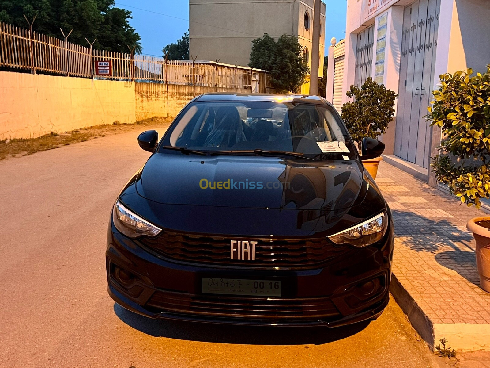 Fiat Tipo 2024 Tipo