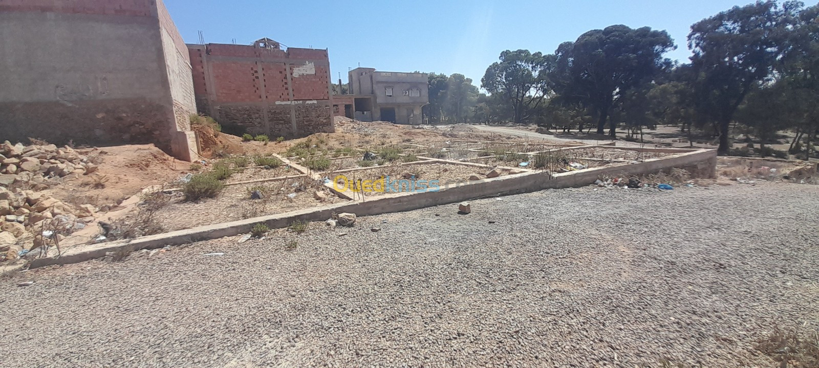 Vente Terrain Mostaganem Sidi ali