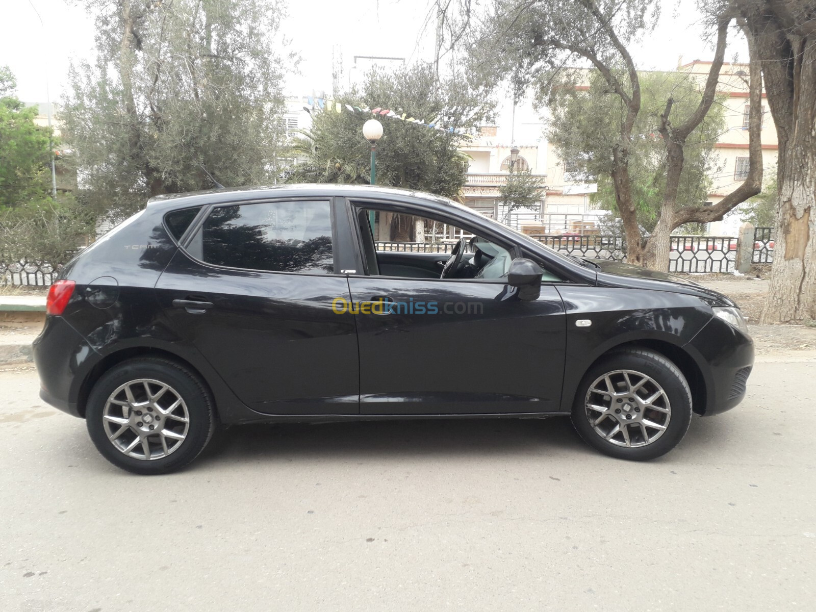 Seat Ibiza 2009 Loca