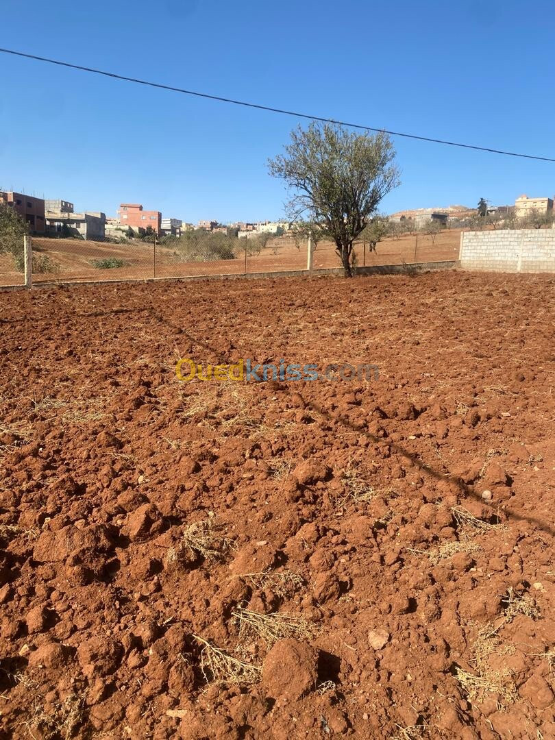 Vente Terrain Tlemcen Dar yaghmouracene