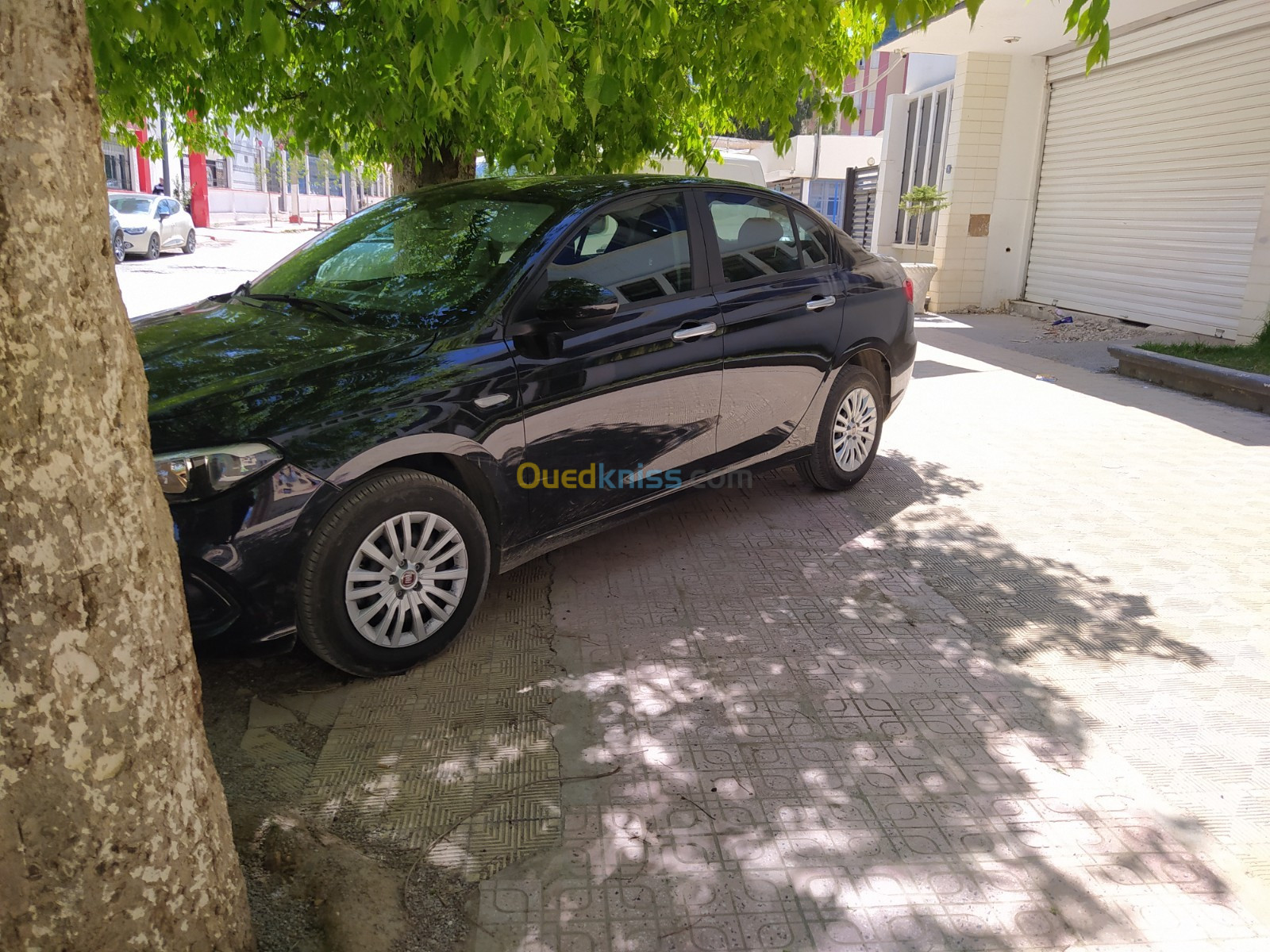 Fiat Tipo 2023 City