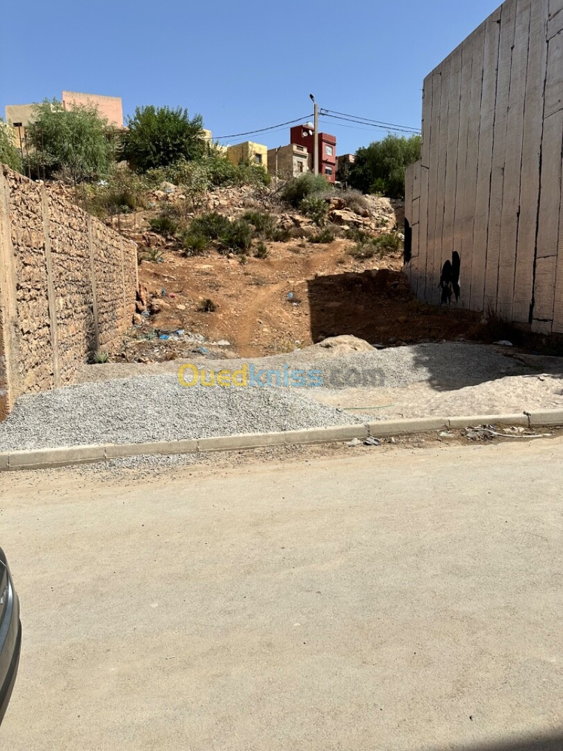 Vente Terrain Tlemcen Mansourah