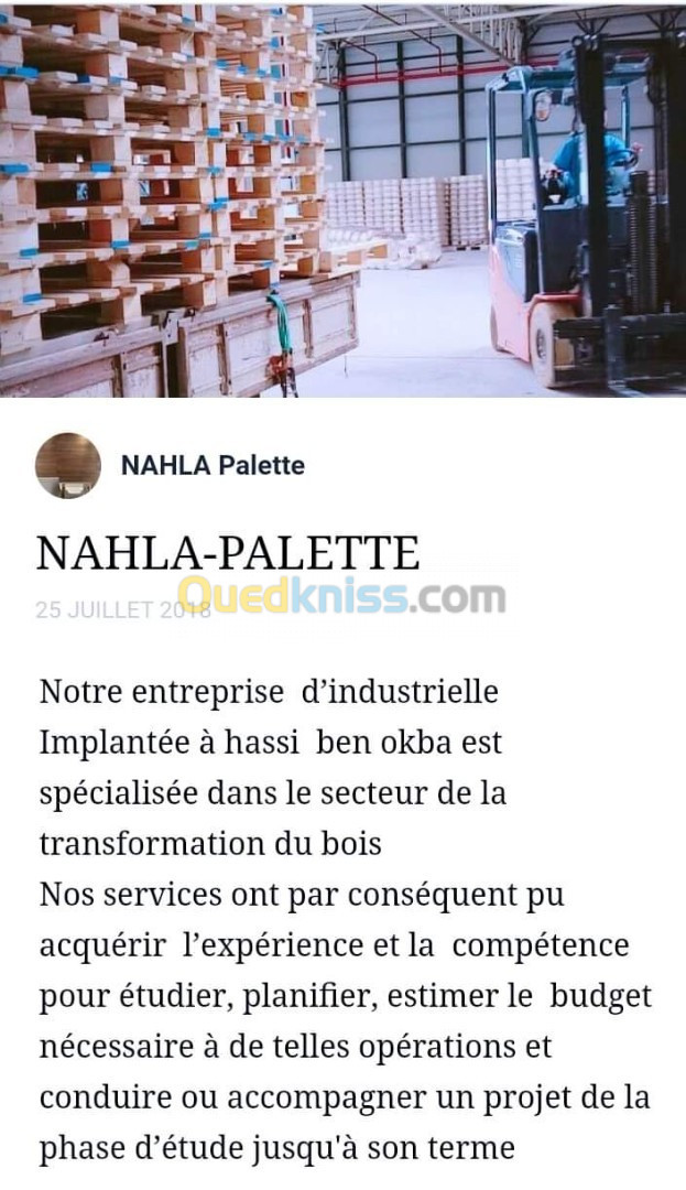 Nahlapalette fumigation palettes en bois 