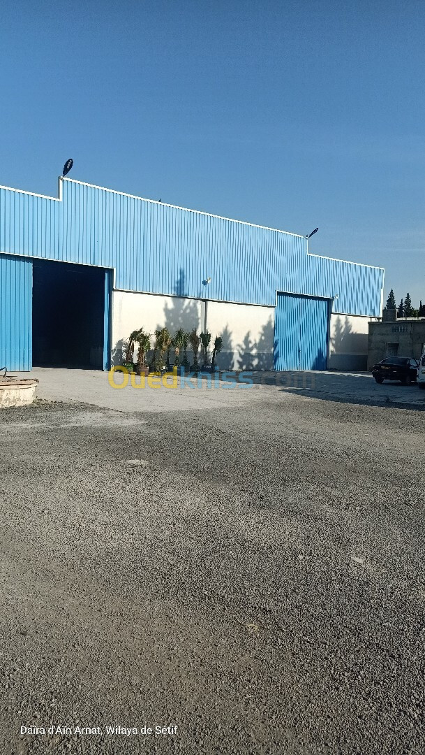 Location Hangar Sétif Ain arnat