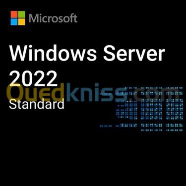 Windows Server 2022 Standard - 16 Core License