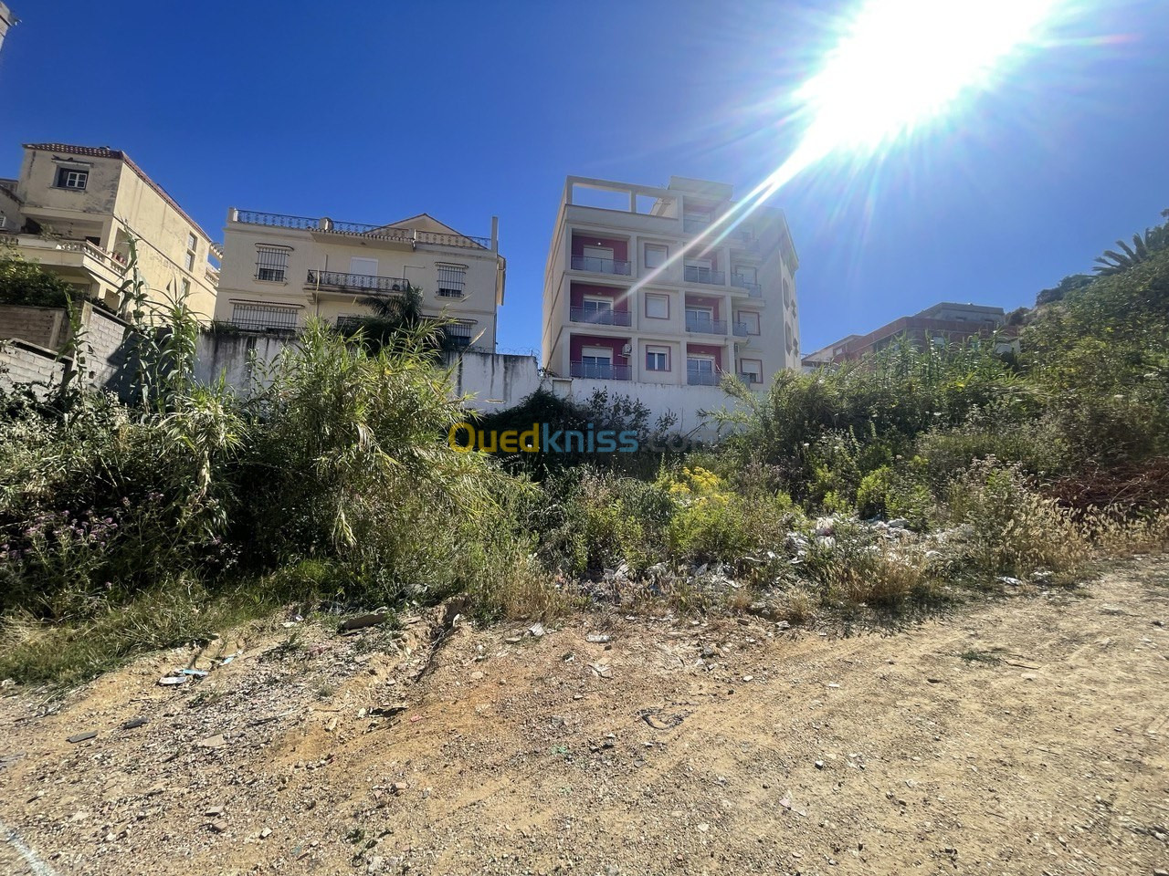 Vente Terrain Annaba Annaba