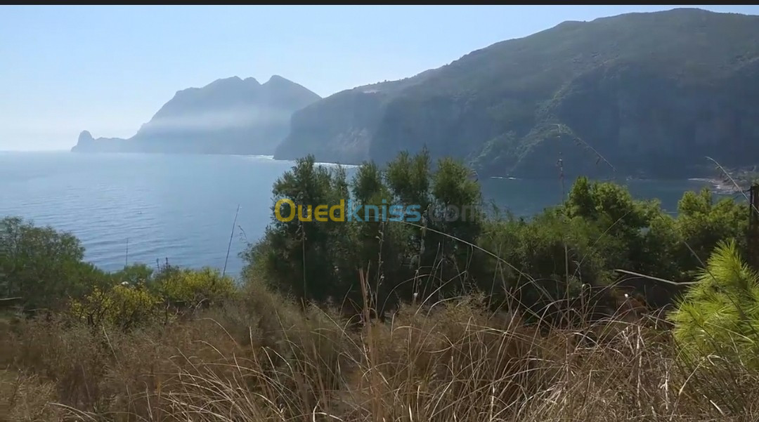 Vente Terrain Bejaia Bejaia