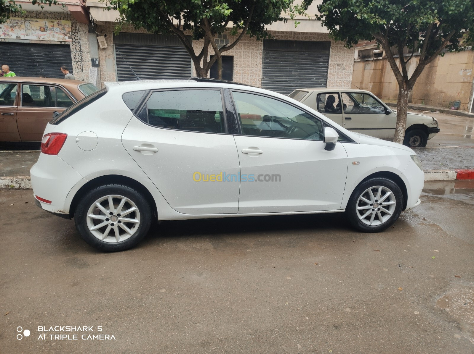 Seat Ibiza 2013 Ibiza