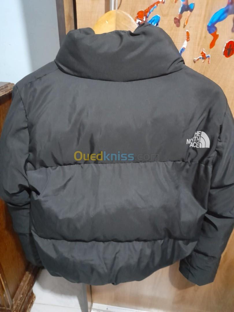 Veste the north face