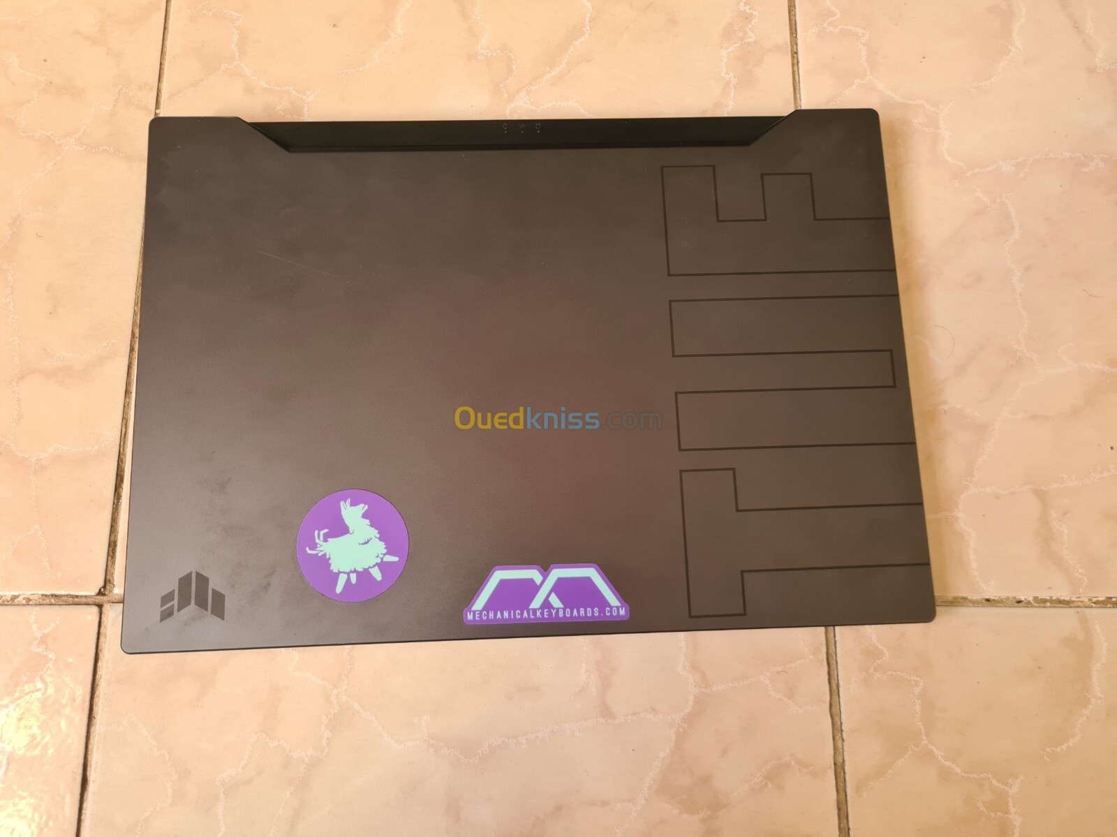 ASUS TUF DASH F15