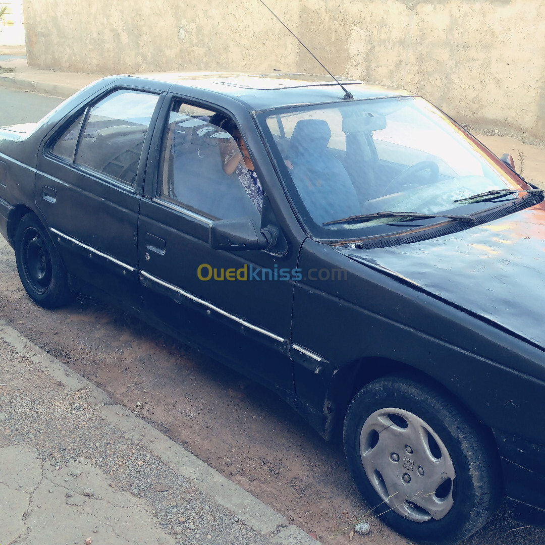 Peugeot 405 1988 405