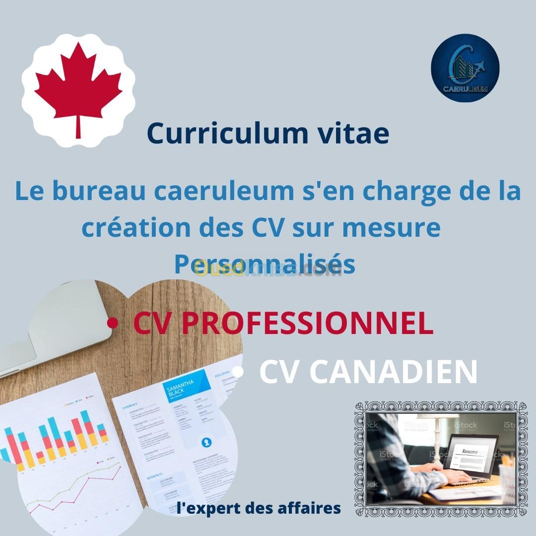 CV PROFESSIONNEL SUR MESURE