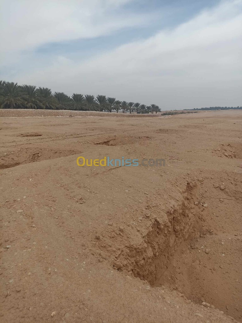 Vente Terrain Biskra El ghrous