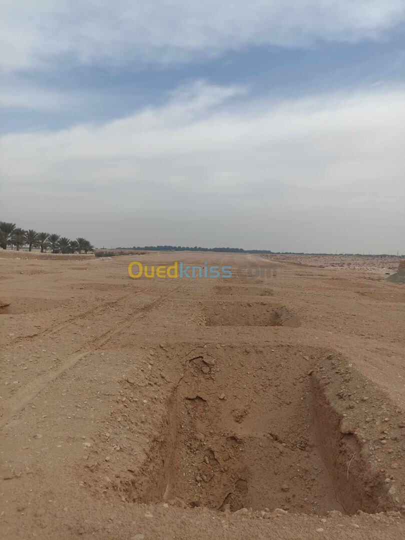 Vente Terrain Biskra El ghrous