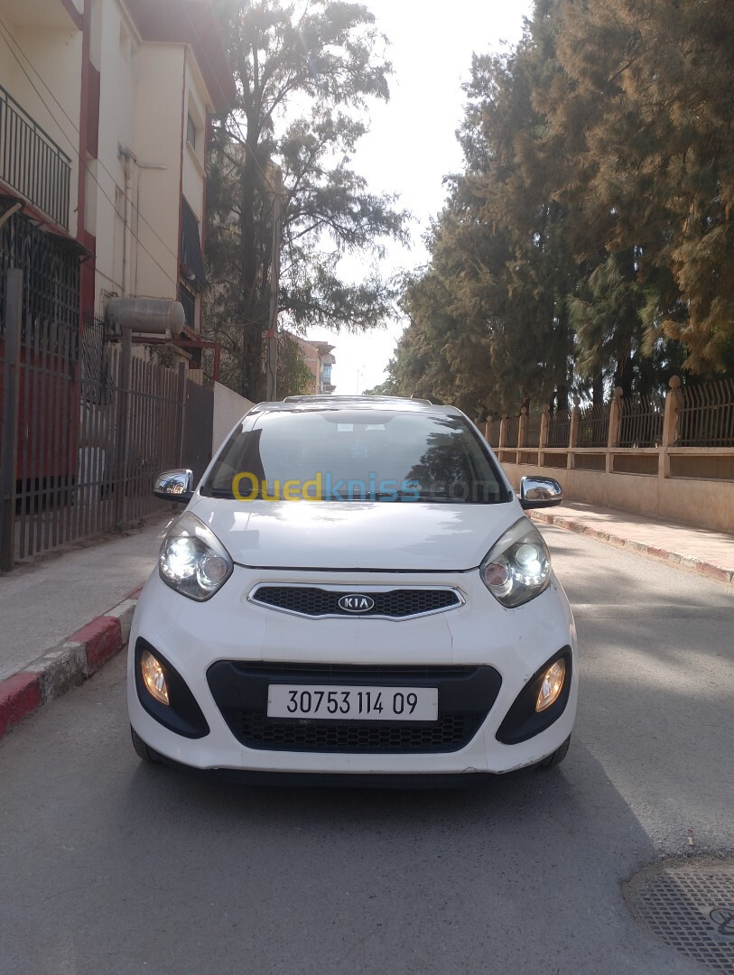 Kia Picanto 2014 Brazilya