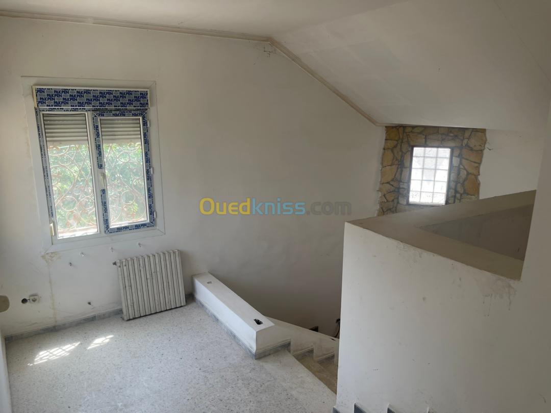 Vente Villa Blida Beni tamou