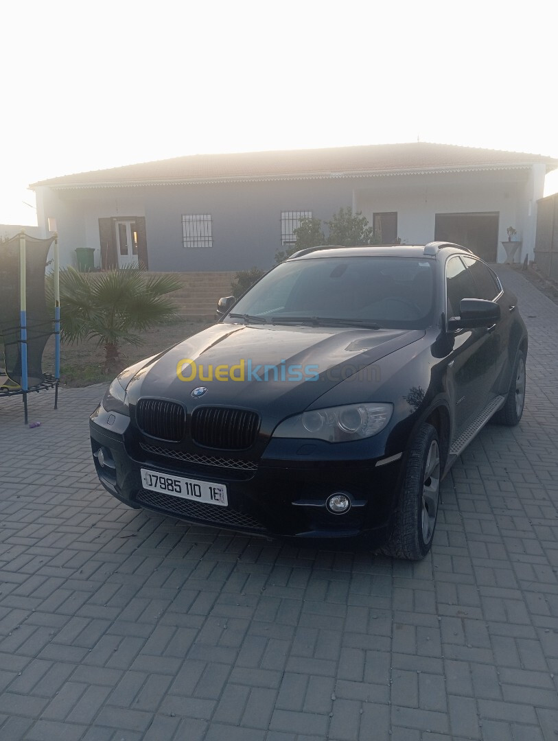 BMW X6 2010 X6