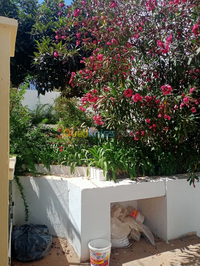 Location Niveau De Villa F4 Alger Hydra