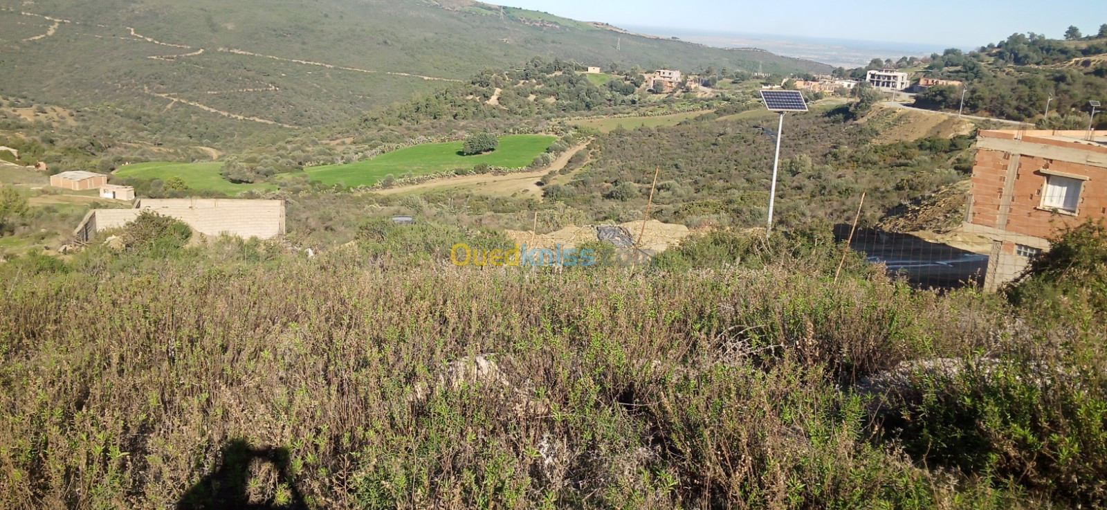 Vente Terrain Blida Djebara