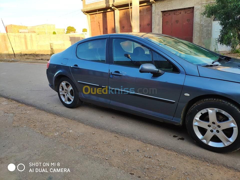 Peugeot 407 2004 407