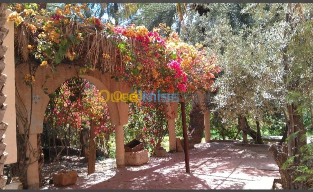 Vente Villa Biskra Biskra