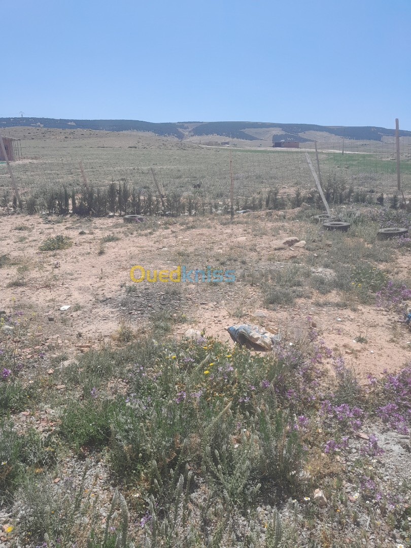 Location Hangar Sétif Beidha bordj