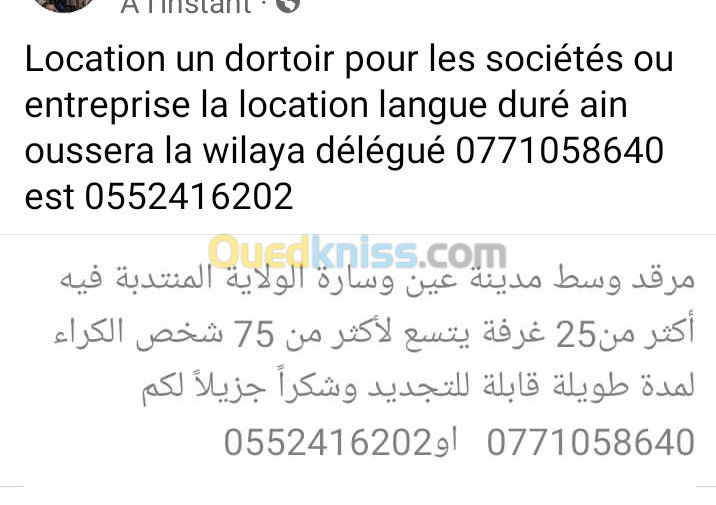 Location Immeuble Djelfa Ain oussara