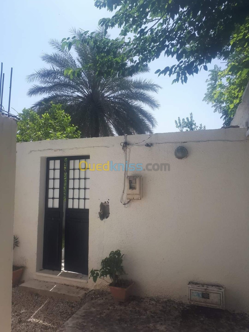 Vente Appartement F9 M'Sila Bou saada