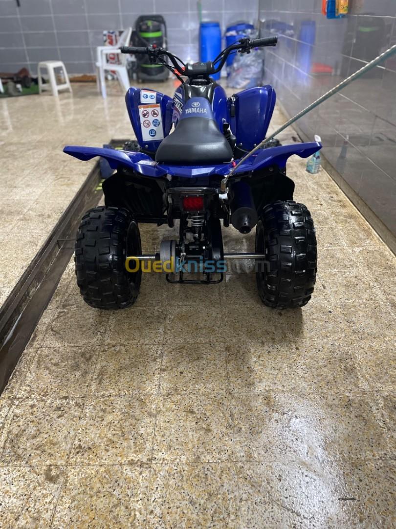 yamaha raptor 90 2023