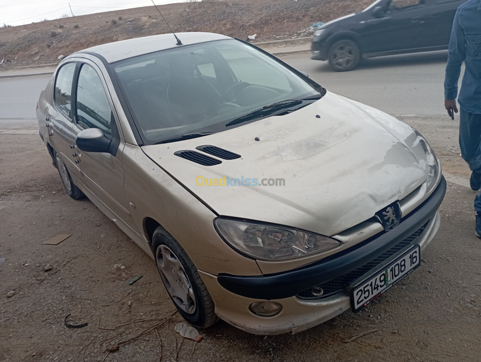 Peugeot 206 Sedan 2008 206 Sedan