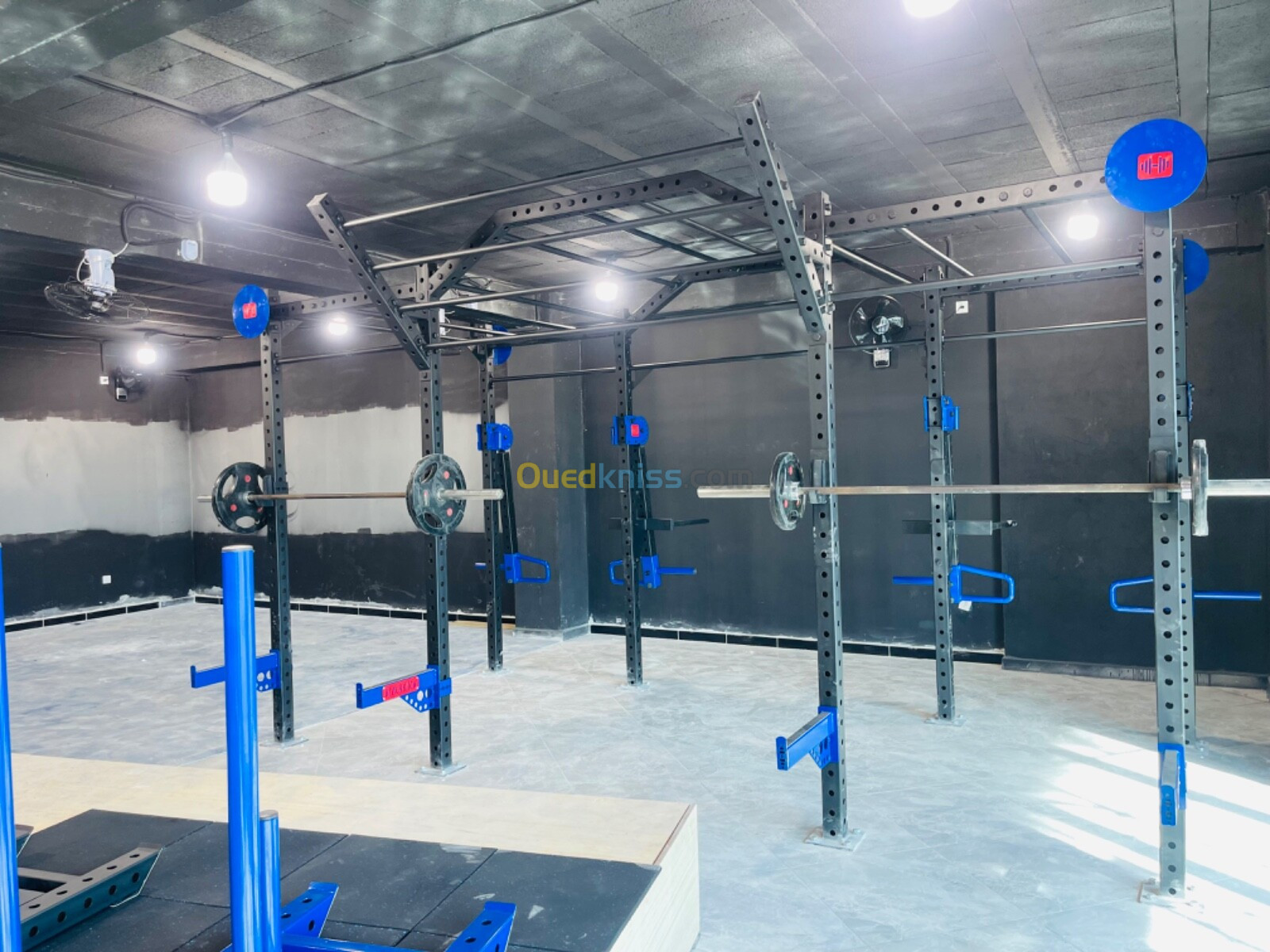 Crossfit cage 