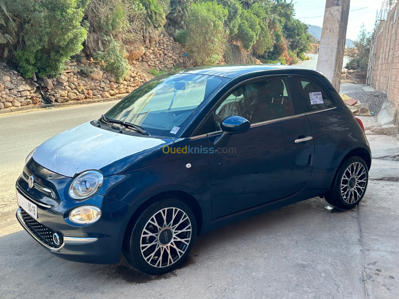 Fiat 500 2024 Detchovita