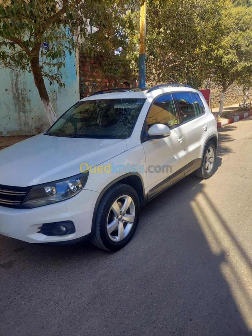 Volkswagen Tiguan 2013 Style